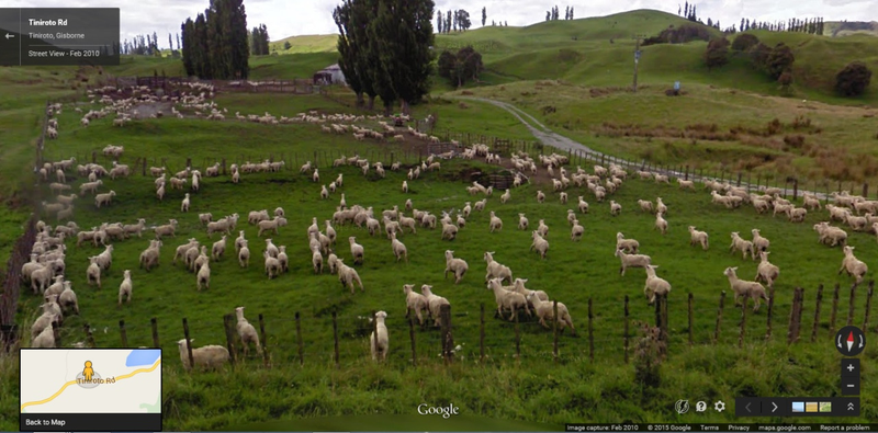 Illustration for article titled Reach your livestock quota with Google Sheep View